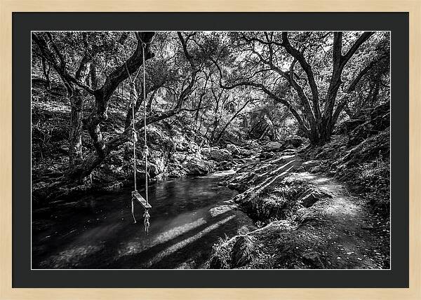 Old Swimming Hole With Rope Swing