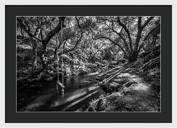 Old Swimming Hole With Rope Swing