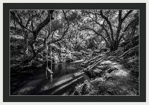 Old Swimming Hole With Rope Swing
