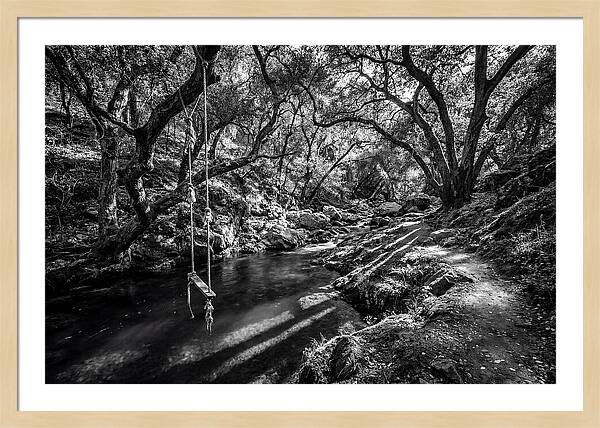 Old Swimming Hole With Rope Swing