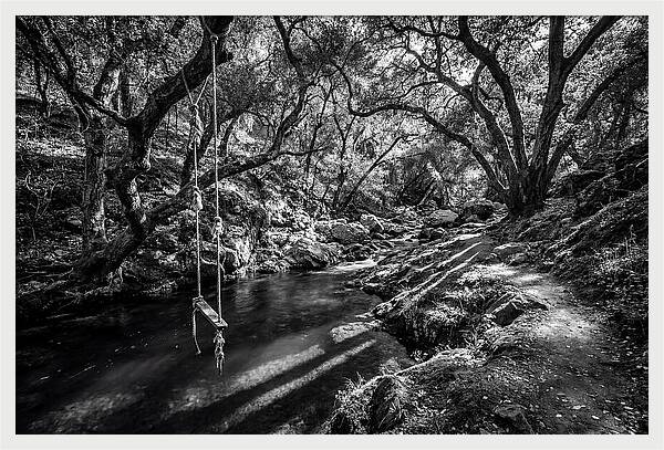 Old Swimming Hole With Rope Swing