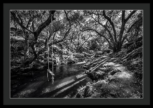 Old Swimming Hole With Rope Swing