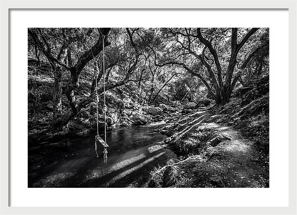 Old Swimming Hole With Rope Swing