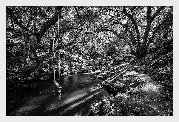 Old Swimming Hole With Rope Swing