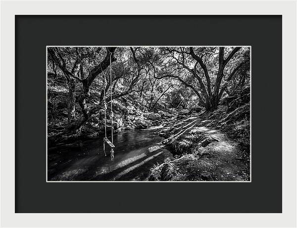 Old Swimming Hole With Rope Swing