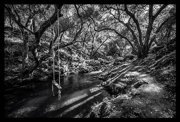 Old Swimming Hole With Rope Swing