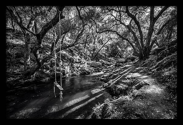 Old Swimming Hole With Rope Swing