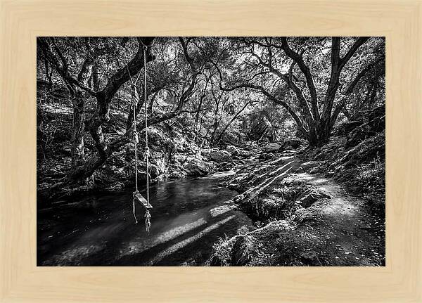 Old Swimming Hole With Rope Swing