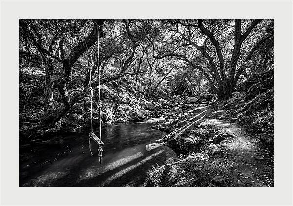 Old Swimming Hole With Rope Swing