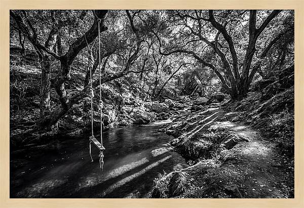 Old Swimming Hole With Rope Swing