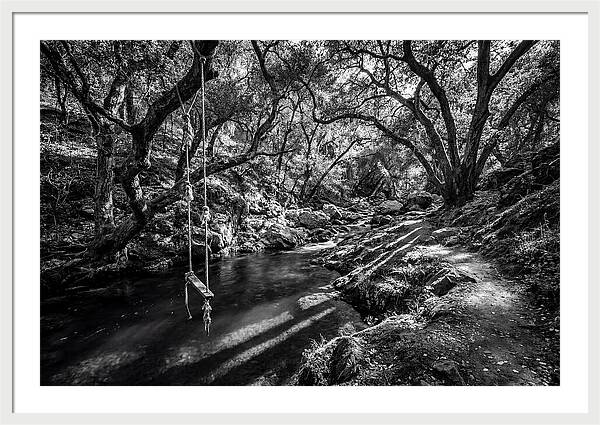 Old Swimming Hole With Rope Swing