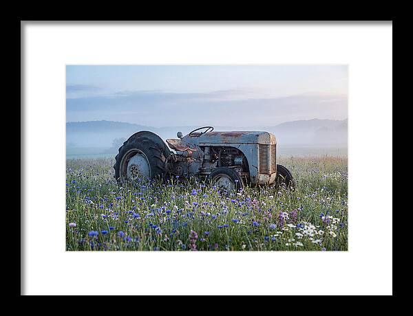 Old Tractor Amidst Wildflowers