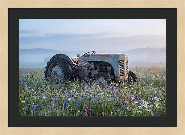Old Tractor Amidst Wildflowers
