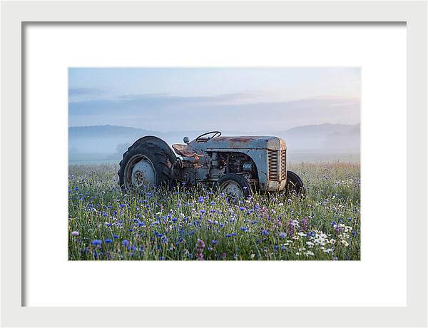 Old Tractor Amidst Wildflowers