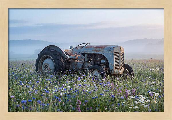 Old Tractor Amidst Wildflowers