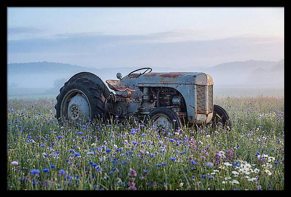 Old Tractor Amidst Wildflowers