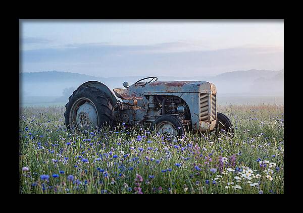 Old Tractor Amidst Wildflowers