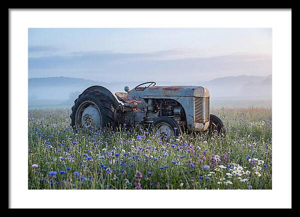 Old Tractor Amidst Wildflowers
