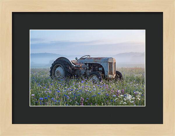 Old Tractor Amidst Wildflowers