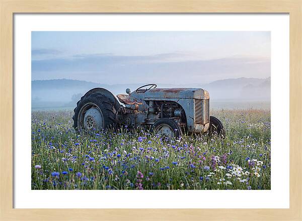 Old Tractor Amidst Wildflowers