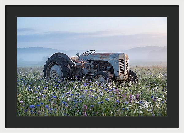 Old Tractor Amidst Wildflowers