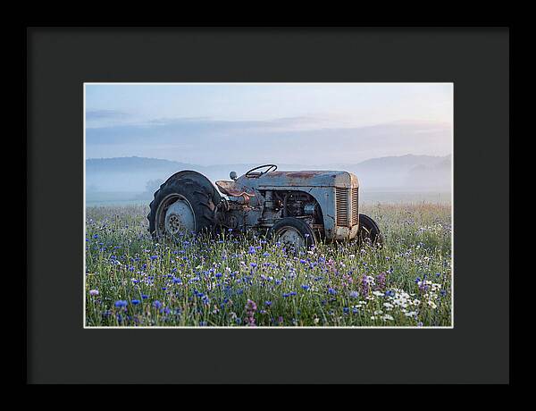 Old Tractor Amidst Wildflowers