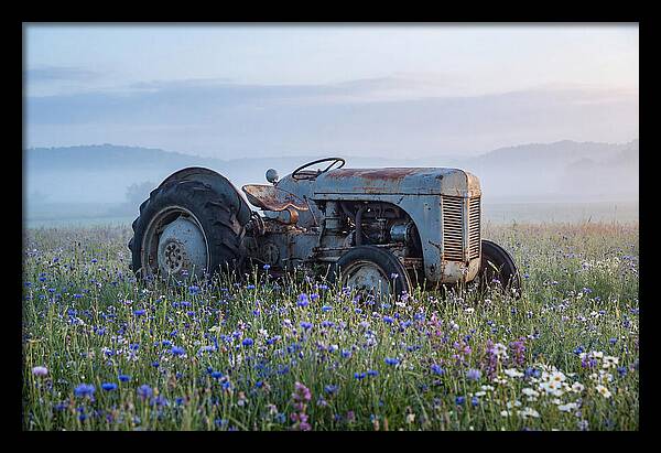 Old Tractor Amidst Wildflowers
