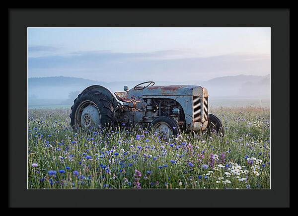 Old Tractor Amidst Wildflowers