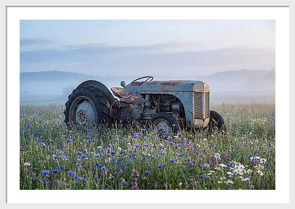 Old Tractor Amidst Wildflowers