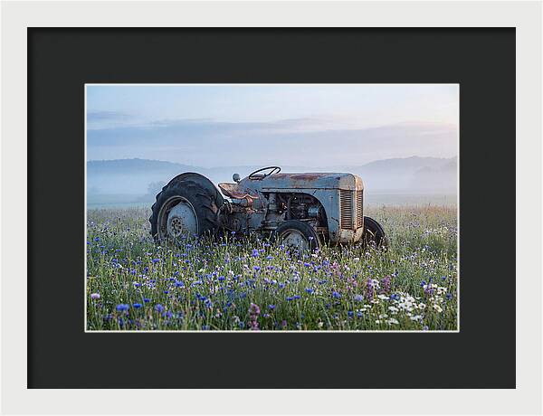 Old Tractor Amidst Wildflowers