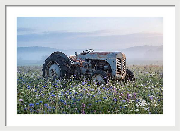 Old Tractor Amidst Wildflowers