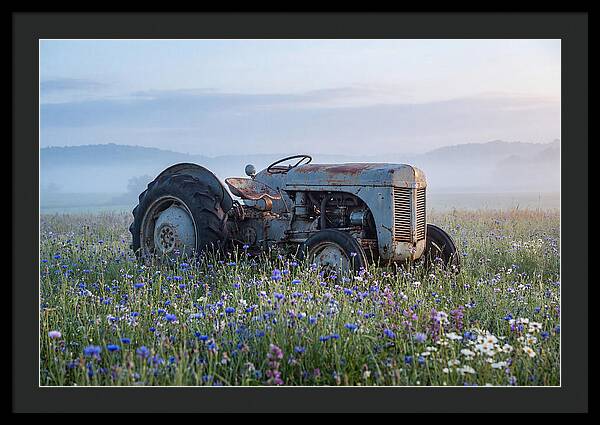 Old Tractor Amidst Wildflowers