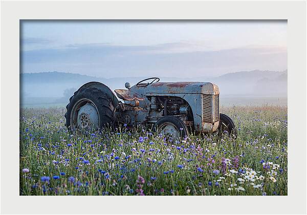 Old Tractor Amidst Wildflowers