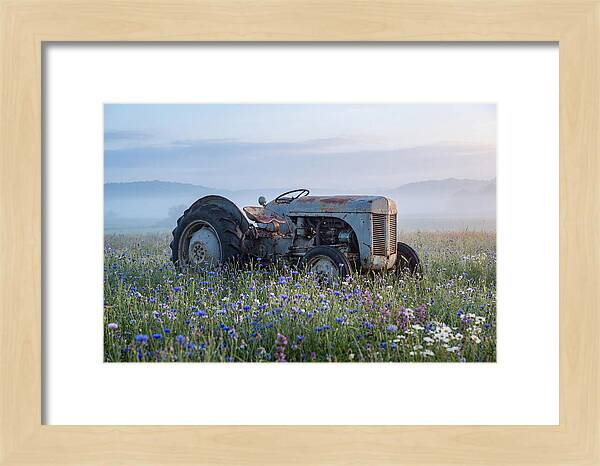Old Tractor Amidst Wildflowers