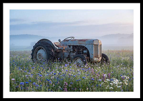 Old Tractor Amidst Wildflowers