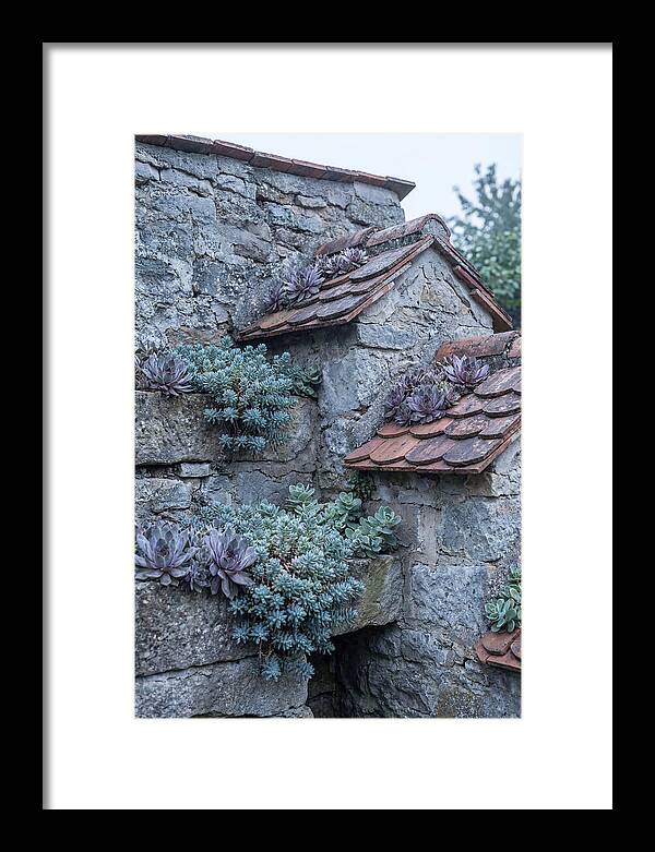 Old Wall Garden Serenity