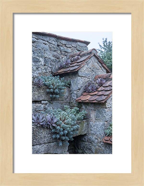 Old Wall Garden Serenity
