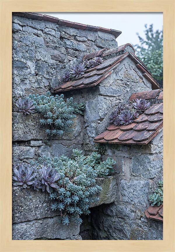 Old Wall Garden Serenity