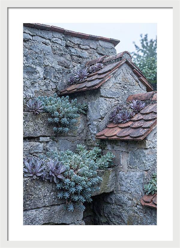 Old Wall Garden Serenity