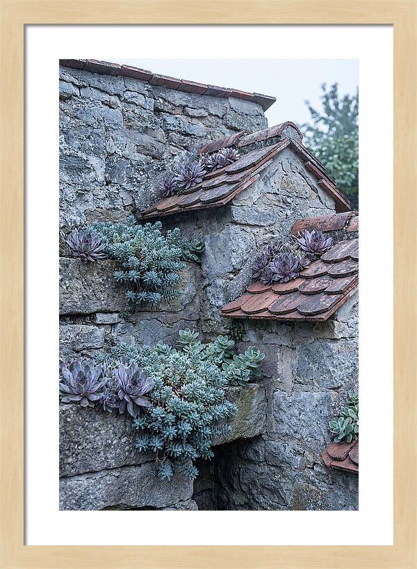 Old Wall Garden Serenity