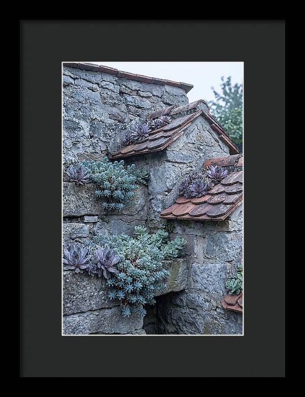 Old Wall Garden Serenity