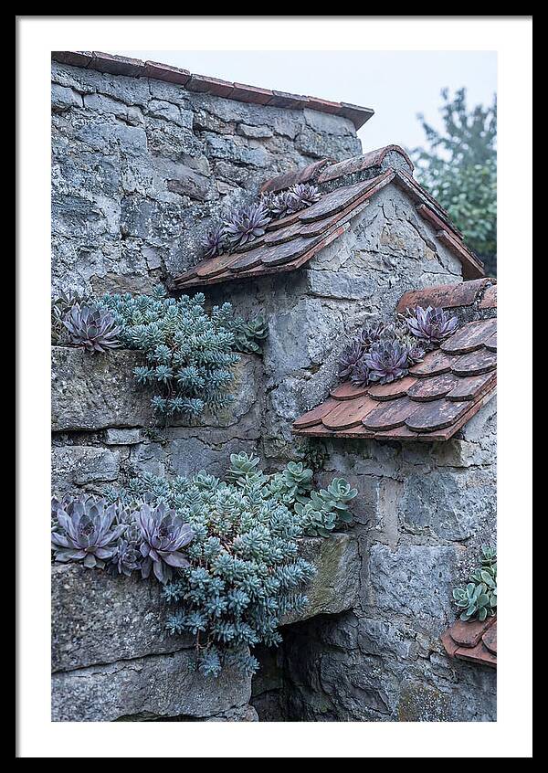 Old Wall Garden Serenity