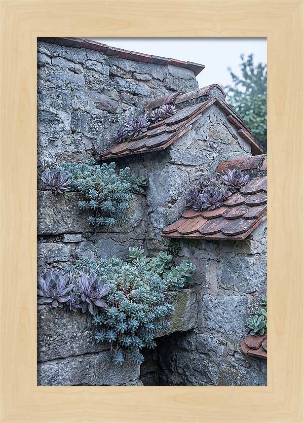 Old Wall Garden Serenity