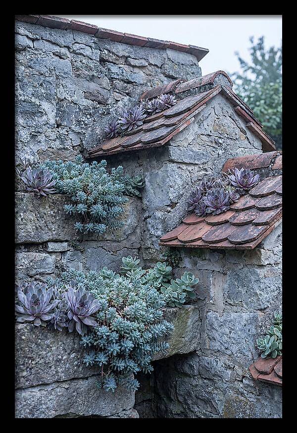 Old Wall Garden Serenity