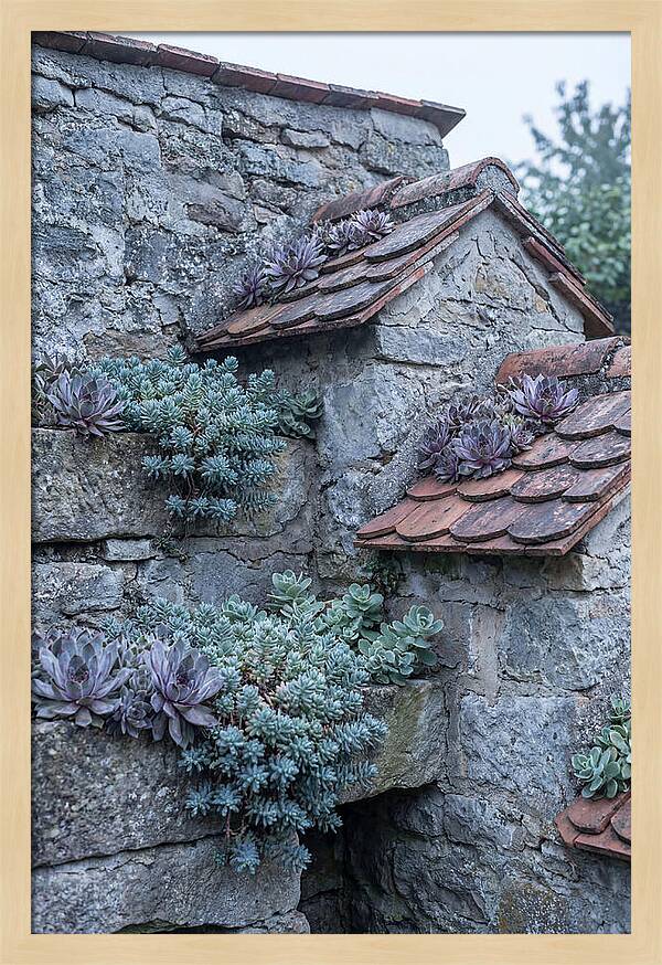 Old Wall Garden Serenity