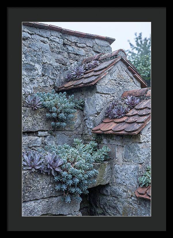 Old Wall Garden Serenity