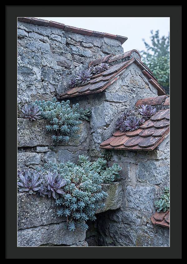 Old Wall Garden Serenity