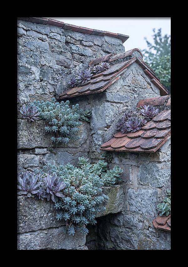Old Wall Garden Serenity
