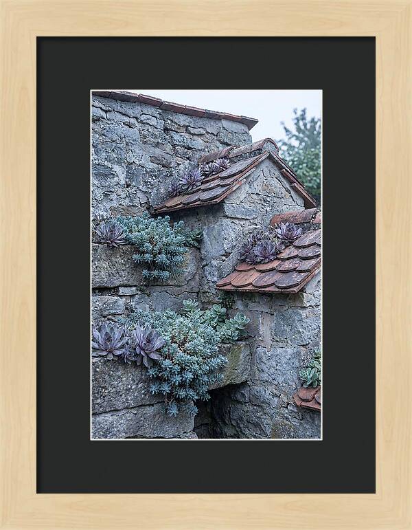 Old Wall Garden Serenity