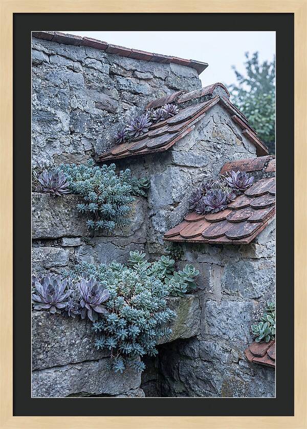 Old Wall Garden Serenity
